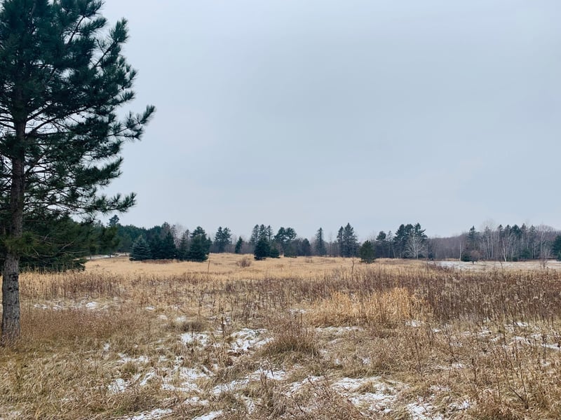 21010 Cleary Rd NW, Nowthen, MN 55303
