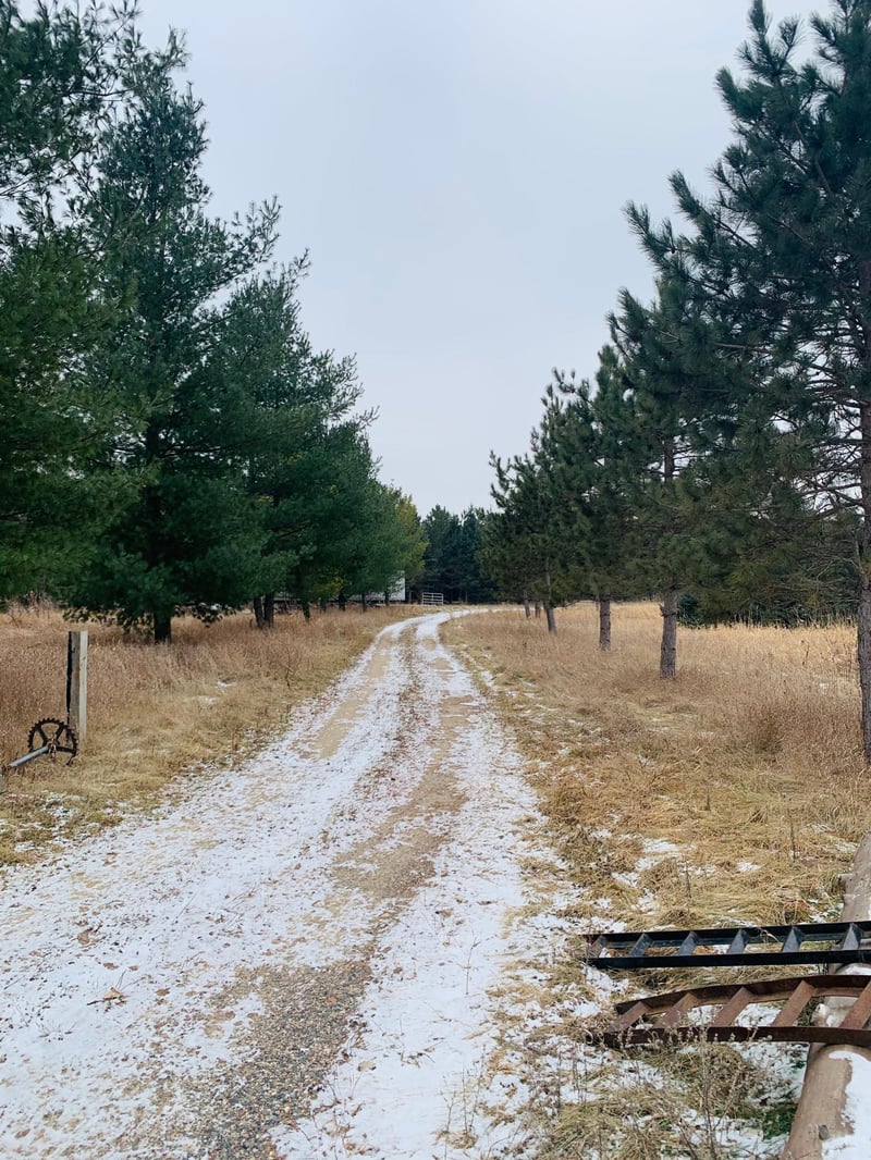 21010 Cleary Rd NW, Nowthen, MN 55303