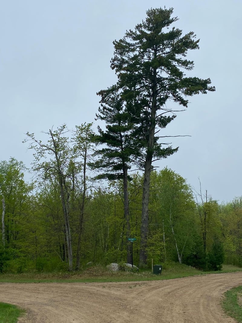 LOT 17 Bear Tract Ln NE, Longville, MN 56655