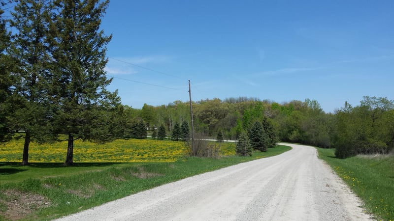 xxxx 120th St NW, Pine Island, MN 55963