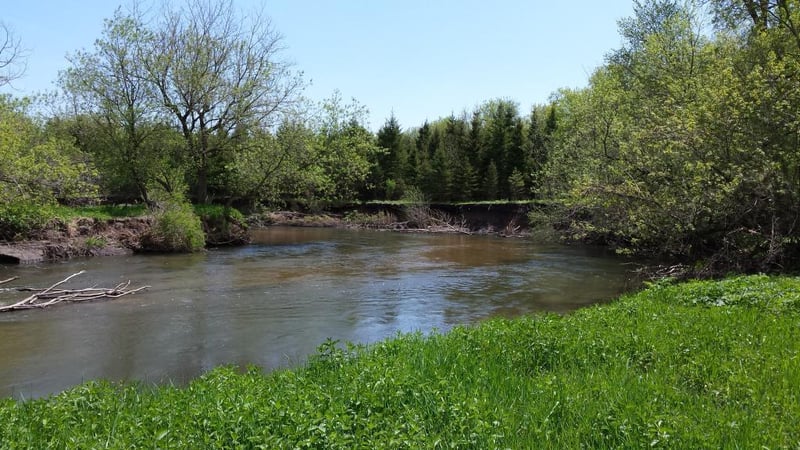 xxxx 120th St NW, Pine Island, MN 55963