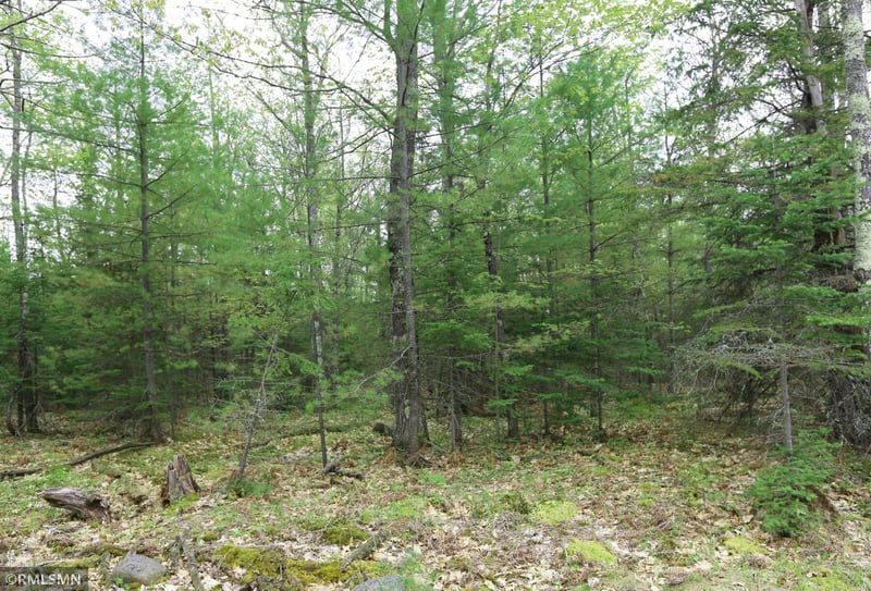504 Miller Farm Rd, La Pointe, WI 54850