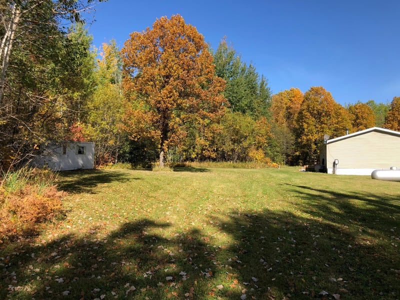 2434 Highway 11 SE, Loman, MN 56654