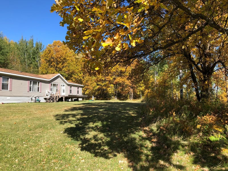 2434 Highway 11 SE, Loman, MN 56654