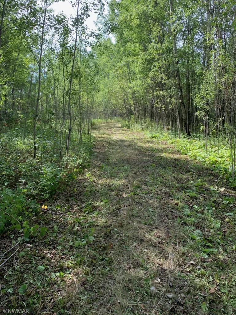 11201 County Road 25, Mizpah, MN 56660