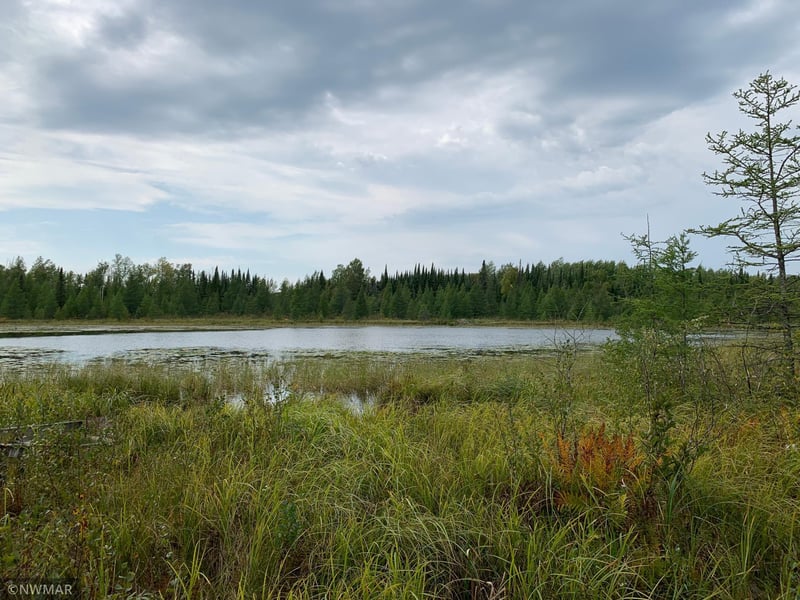 11201 County Road 25, Mizpah, MN 56660