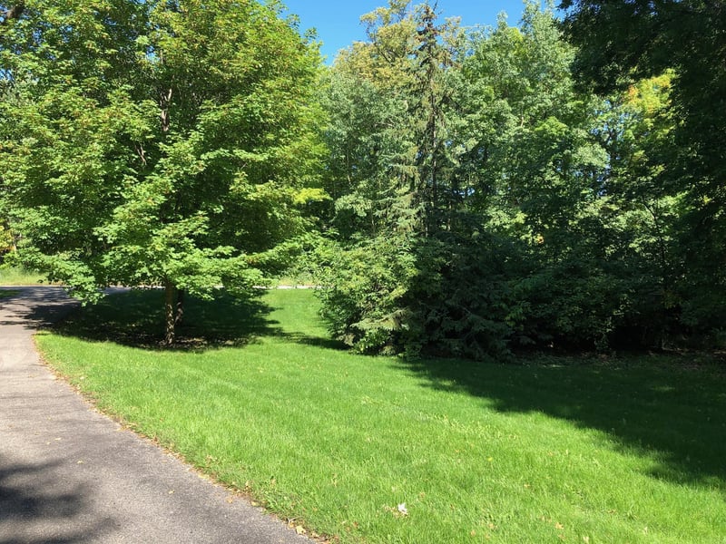 11376 Wallen Rd NW, Brandon, MN 56315