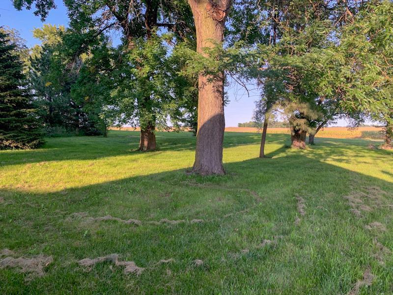 583 120th Ave, Ceylon, MN 56121