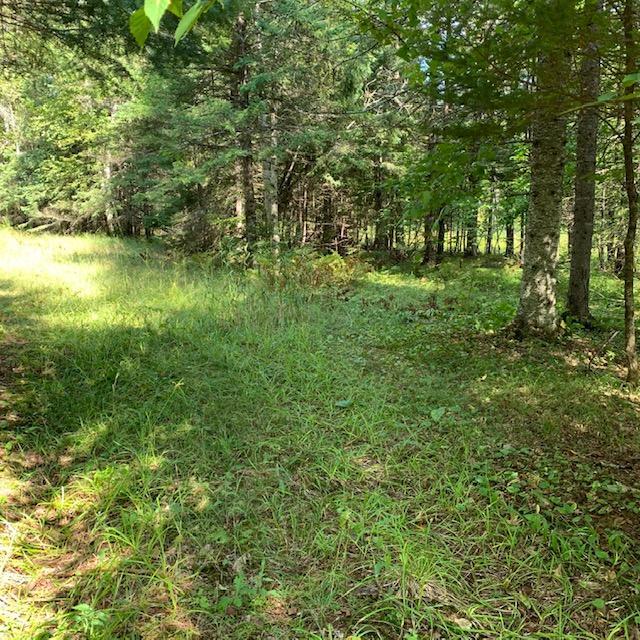 1807 E Summit Trl, Foxboro, WI 54836