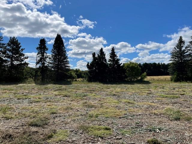 8132 325th Ave NW, Princeton, MN 55371