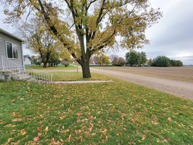 300 South St, Wanda, MN 56294