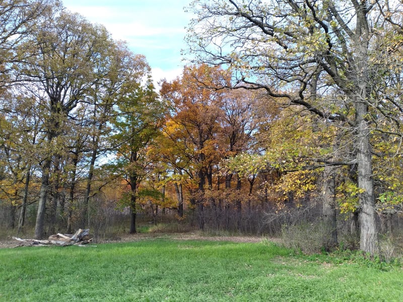 XXXX Badger Creek Rd, Flensburg, MN 56328