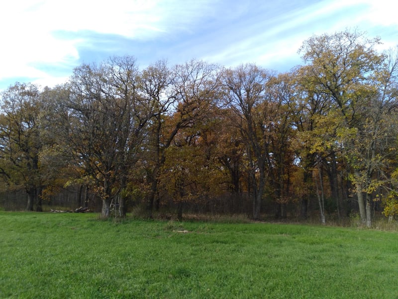 XXXX Badger Creek Rd, Flensburg, MN 56328
