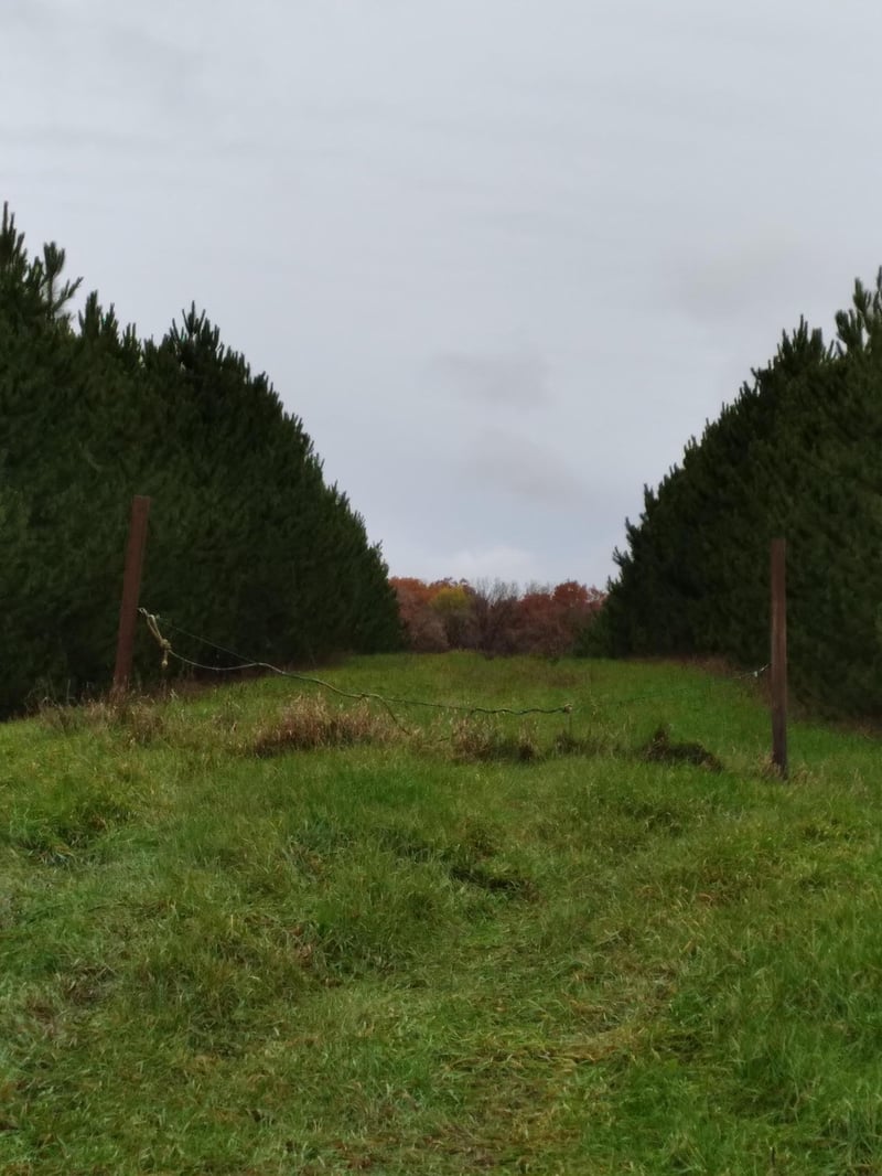 XXXX Badger Creek Rd, Flensburg, MN 56328