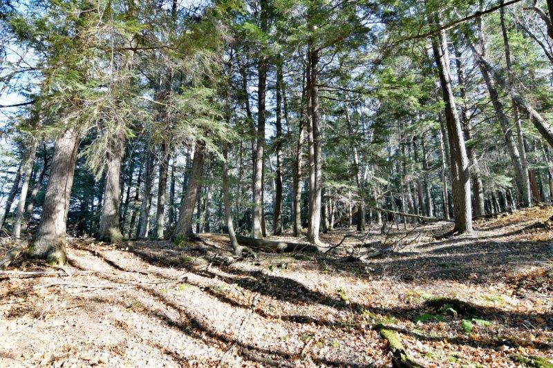Lot 6 Cramer Ln, La Pointe, WI 54850