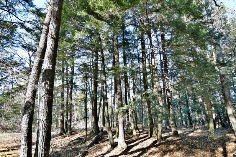 Lot 6 Cramer Ln, La Pointe, WI 54850