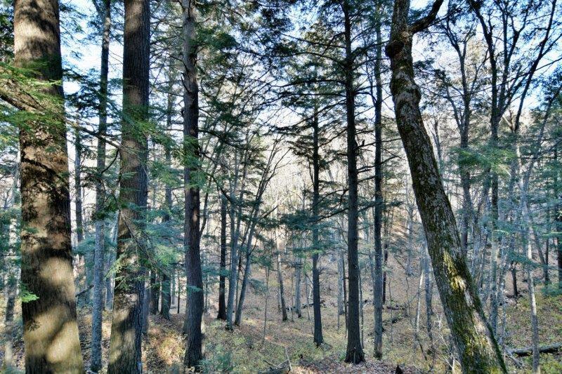 Lot 6 Cramer Ln, La Pointe, WI 54850
