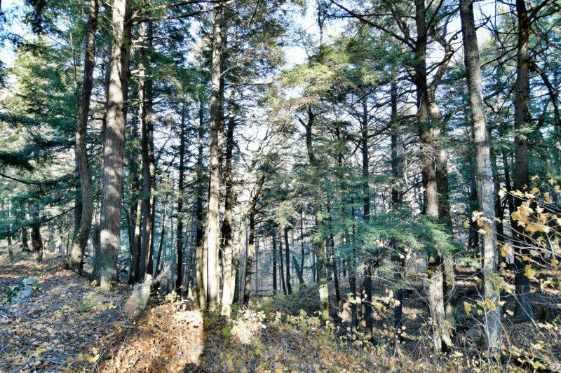 Lot 6 Cramer Ln, La Pointe, WI 54850