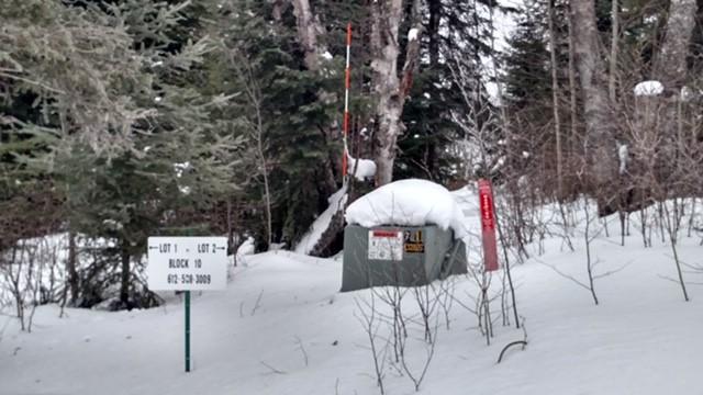 xxx Pine Peak Rd, Lutsen, MN 55612