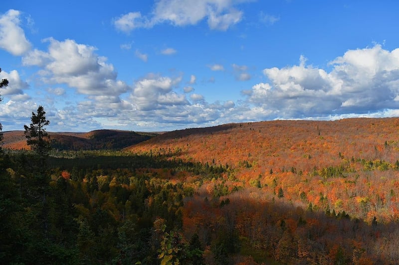 xxx Pine Peak Rd, Lutsen, MN 55612