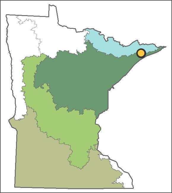xx Pine Peak Rd, Lutsen, MN 55612