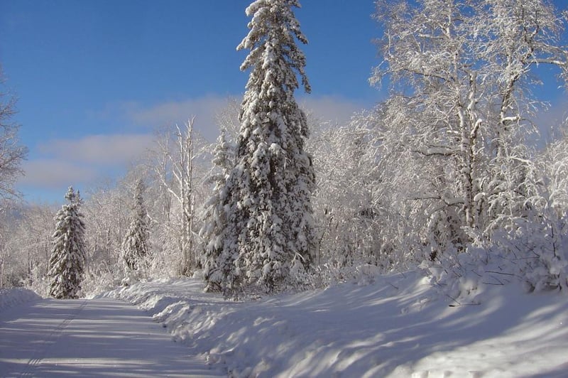 xx Pine Peak Rd, Lutsen, MN 55612