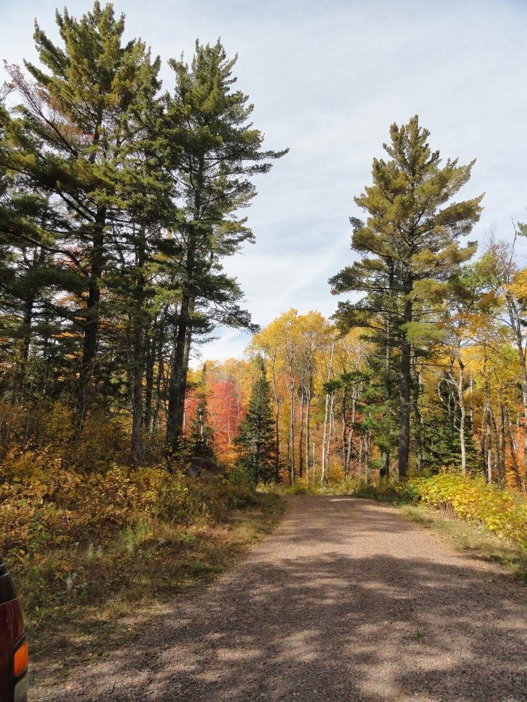 xx Pine Peak Rd, Lutsen, MN 55612