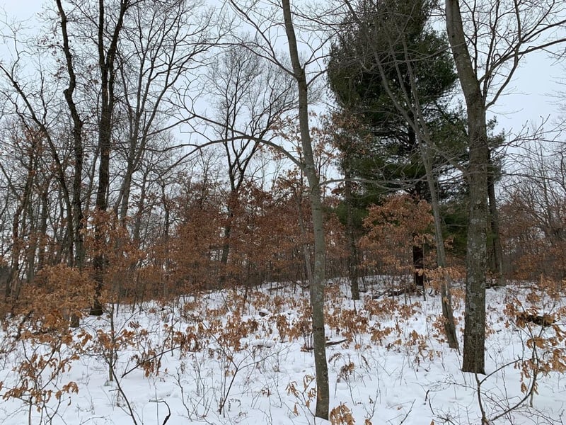 N13323 Town Hall Rd, Fairchild, WI 54741