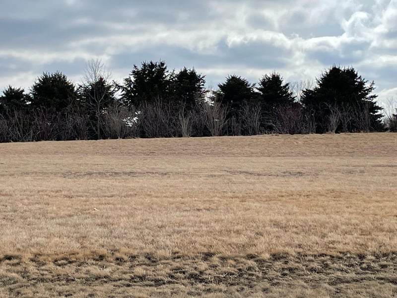 531 Hillcrest St, Edgerton, MN 56128