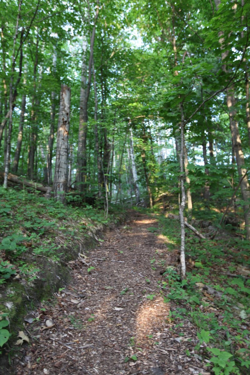 3320 North Shore Rd, La Pointe, WI 54850