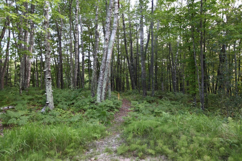 3320 North Shore Rd, La Pointe, WI 54850
