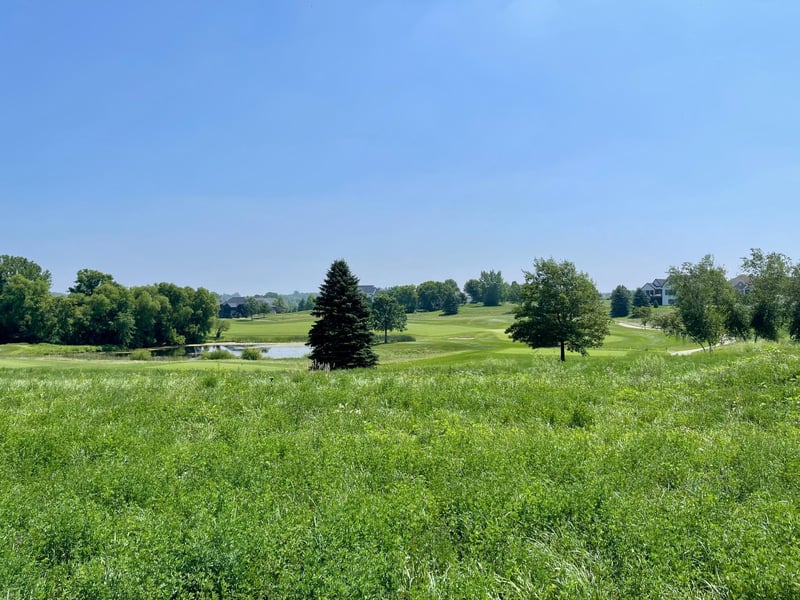 1444 Delamere Dr NE, Byron, MN 55920