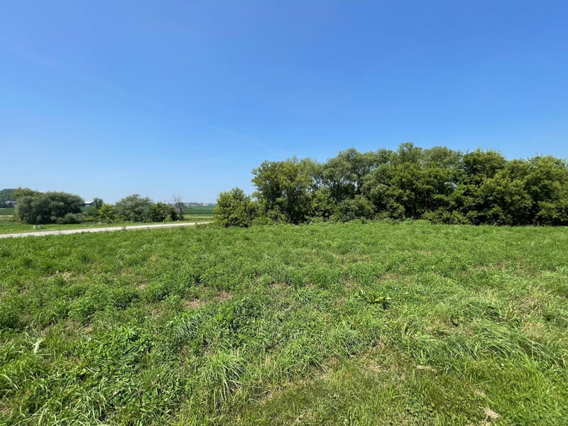 1405 Somerby Pl NE, Byron, MN 55920