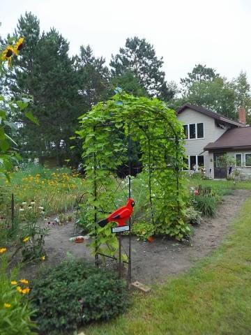21710 Shallow Lake Rd, Warba, MN 55793