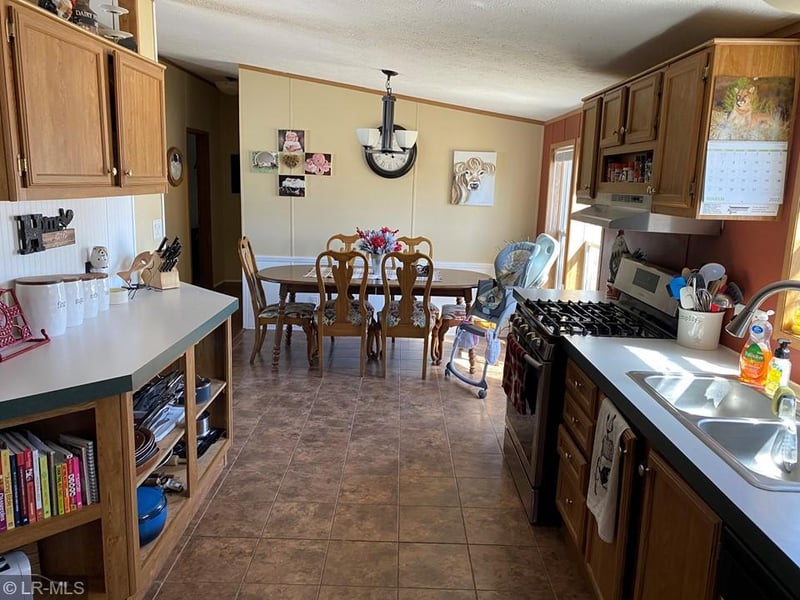 15355 County Highway 10, Elizabeth, MN 56533