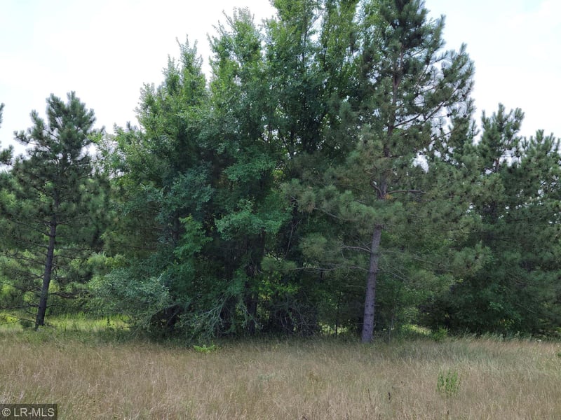 0000 Cty/state Hwy No 10, Elizabeth, MN 56533
