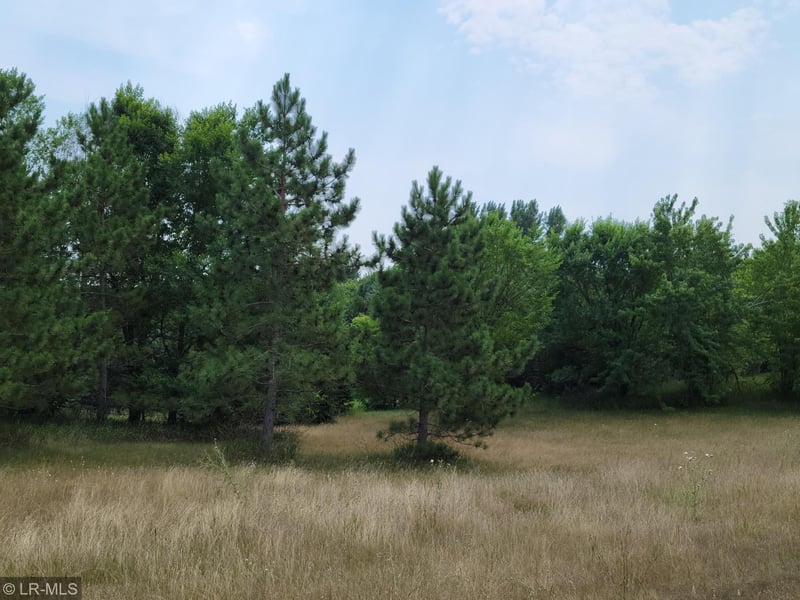 0000 Cty/state Hwy No 10, Elizabeth, MN 56533