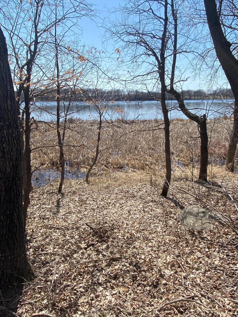 13508 Devils Lake Rd NW, Brandon, MN 56315