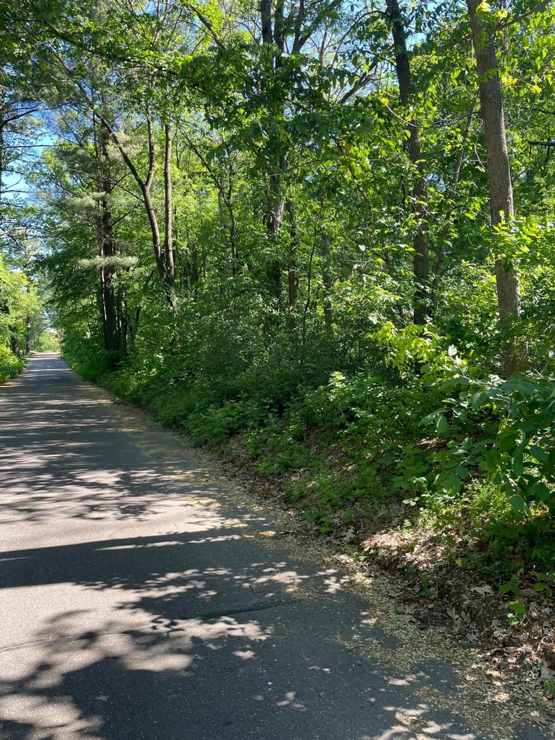 342 Birch Rd, Wyoming, MN 55092