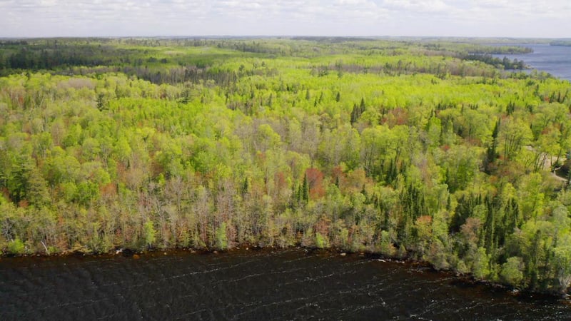 Parcel A S Niles Bay Forest Rd, Orr, MN 55771