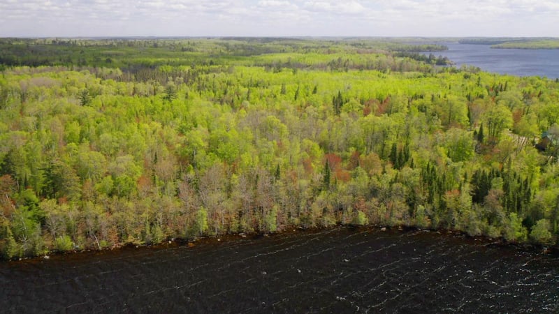 Parcel B S Niles Bay Forest Rd, Orr, MN 55771