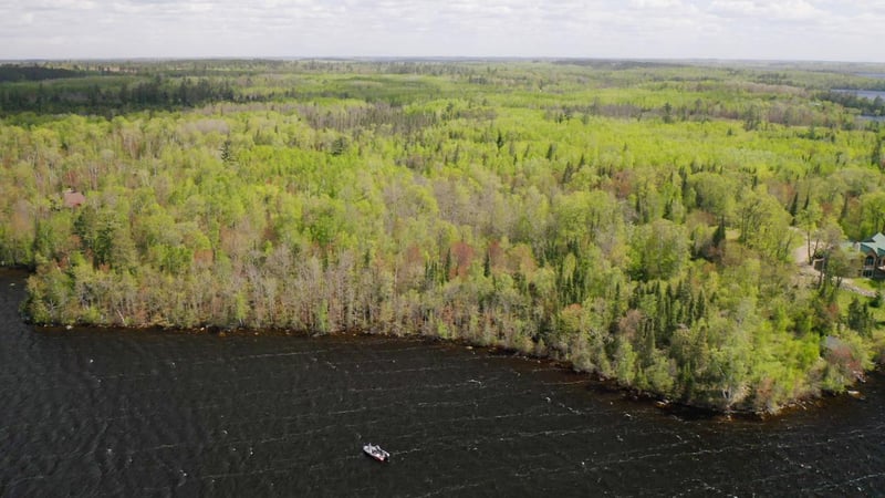 Parcel C S Niles Bay Forest Rd, Orr, MN 55771