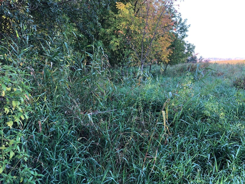 TBD Basil Rd, Swanville, MN 56382