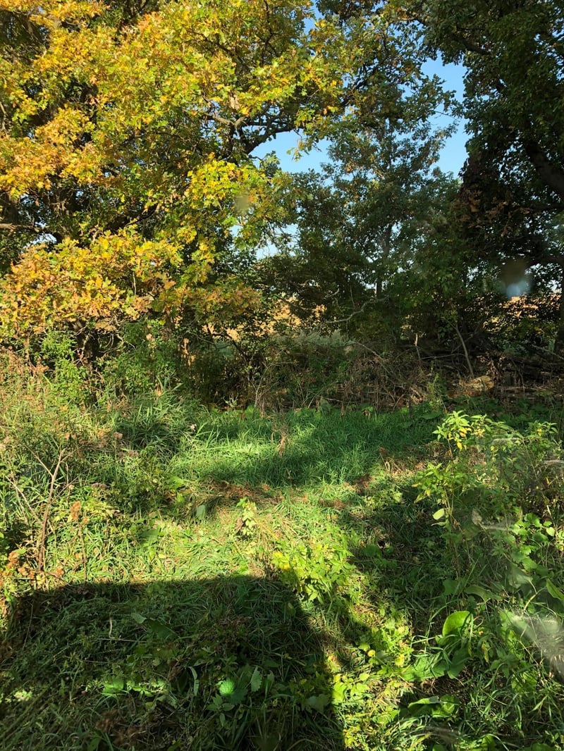 TBD Basil Rd, Swanville, MN 56382