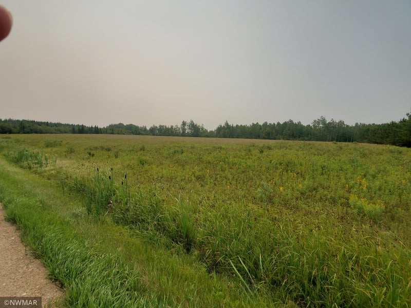 TBD Kelliher Rd, Kelliher, MN 56650