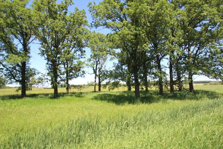 30xxx 93rd St, Pierz, MN 56364