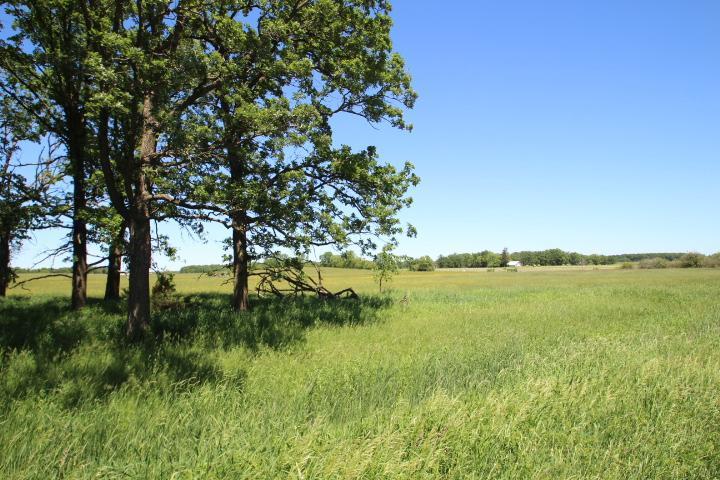 30xxx 93rd St, Pierz, MN 56364