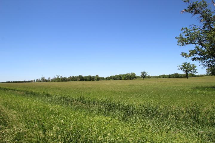 3xxxx 93rd St, Pierz, MN 56364
