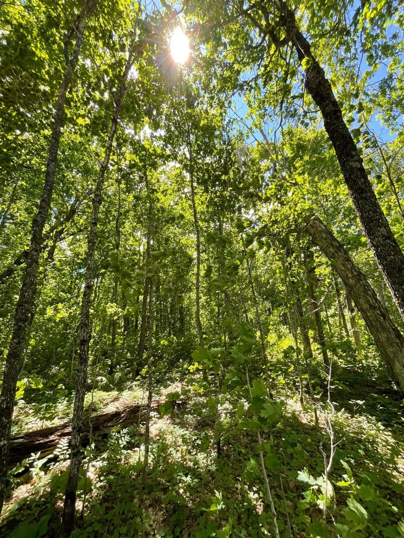 Lot 9 Block3 Hillside Dr, Lutsen, MN 55612