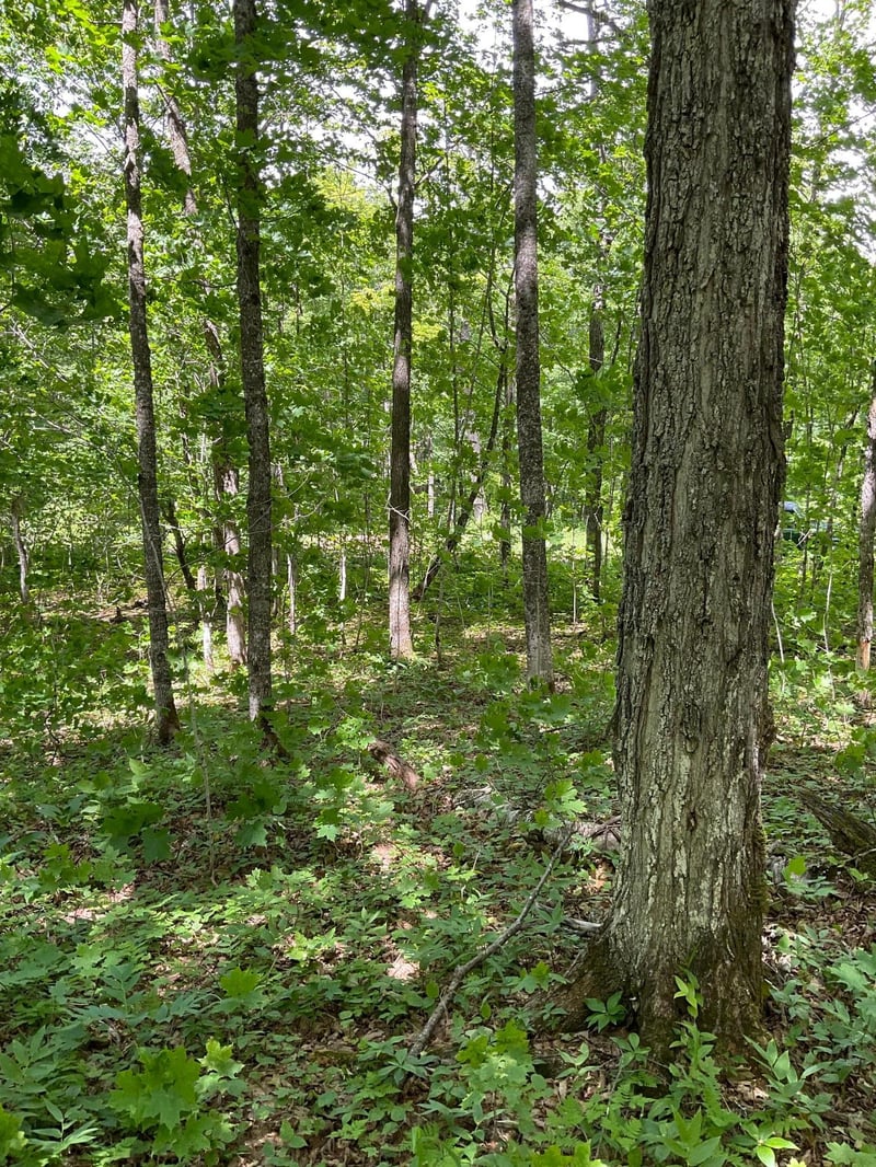 Lot 9 Block3 Hillside Dr, Lutsen, MN 55612